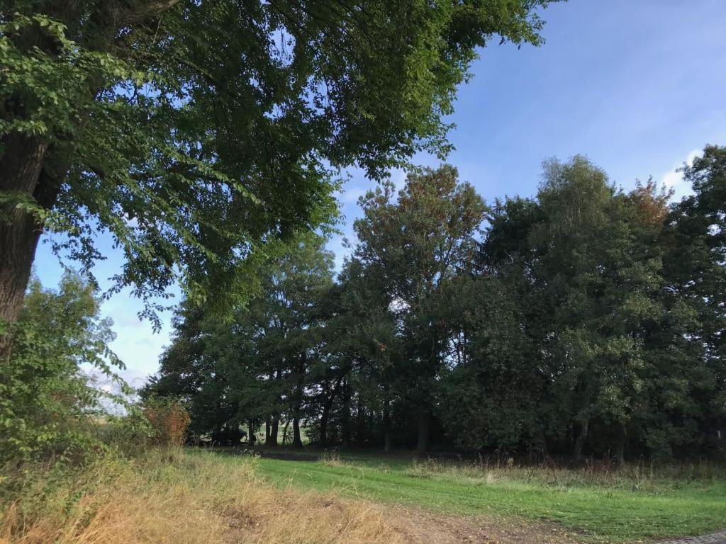 Johanna'S Oostwold  Exteriér fotografie