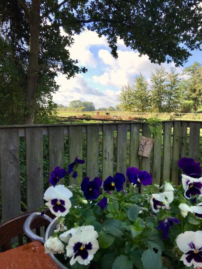 Johanna'S Oostwold  Exteriér fotografie